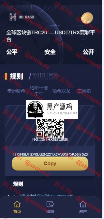 哈希竞猜源码-支持四种玩法_区块链源码
